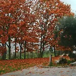 بيت للعطل Quinta Fontes - Rustico Local E São Pedro do Sul