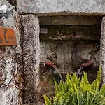 بيت للعطل Quinta Fontes - Rustico Local E *