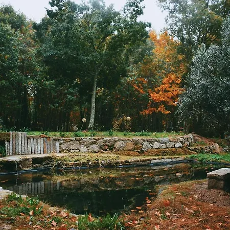 Quinta Fontes - Rustico Local E Sao Pedro do Sul
