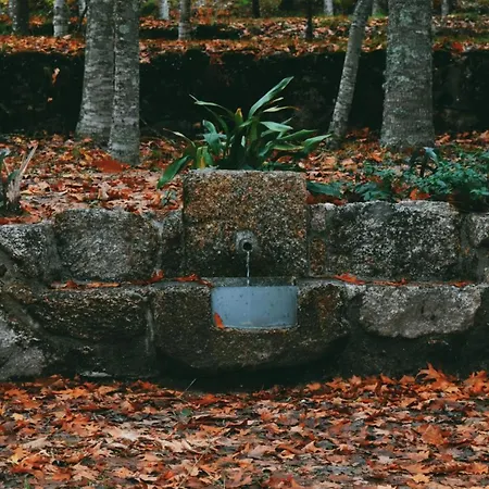 Quinta Fontes - Rustico Local E