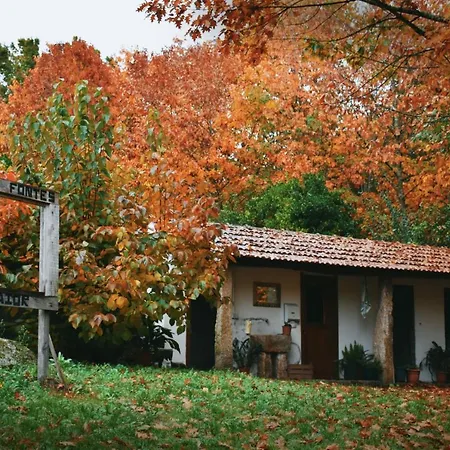 Quinta Fontes - Rustico Local E São Pedro do Sul