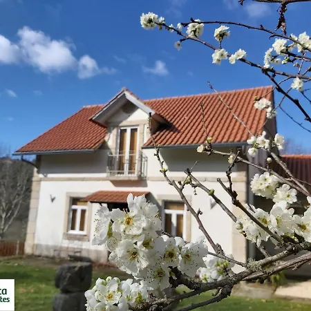 Quinta Fontes - Rustico Local E Ferienhaus *
