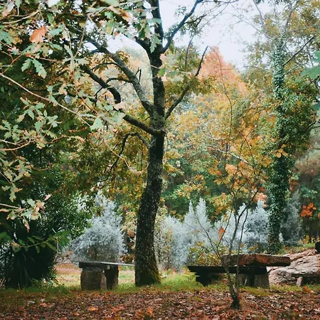 Quinta Fontes - Rustico Local E *