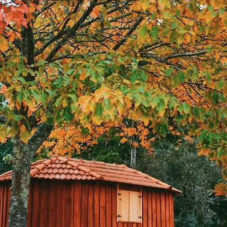 Quinta Fontes - Rustico Local E *