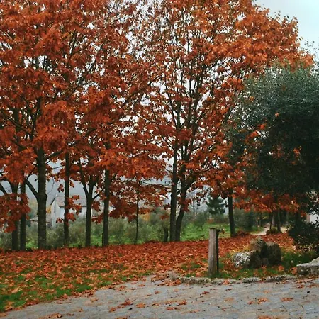 Σπίτι διακοπών Quinta Fontes - Rustico Local E São Pedro do Sul