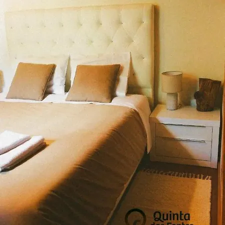 Holiday home Quinta Fontes - Rustico Local E Sao Pedro do Sul