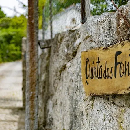 Quinta Fontes - Rustico Local E Holiday home