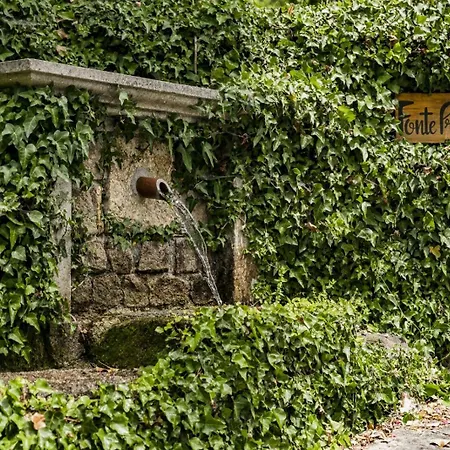 Quinta Fontes - Rustico Local E