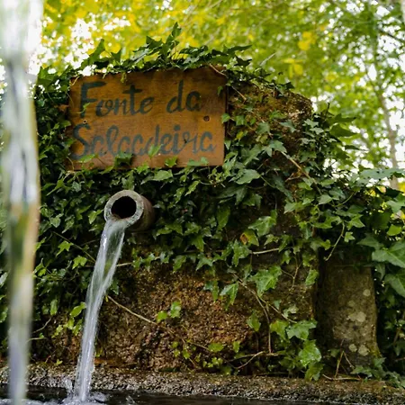 بيت للعطل Quinta Fontes - Rustico Local E São Pedro do Sul