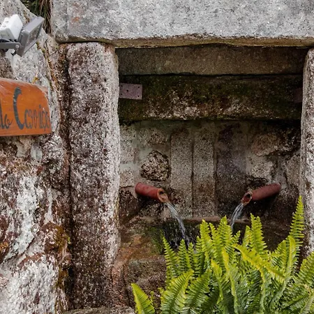 Σπίτι διακοπών Quinta Fontes - Rustico Local E *