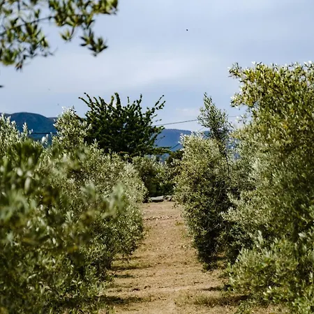 Quinta Fontes - Rustico Local E Holiday home *