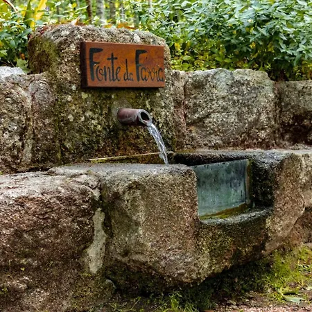 Quinta Fontes - Rustico Local E Holiday home