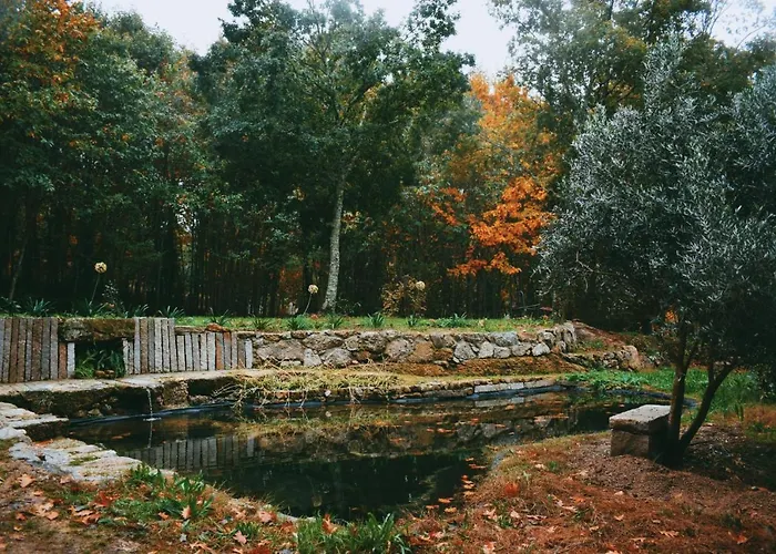 Quinta Fontes - Rustico Local E São Pedro do Sul