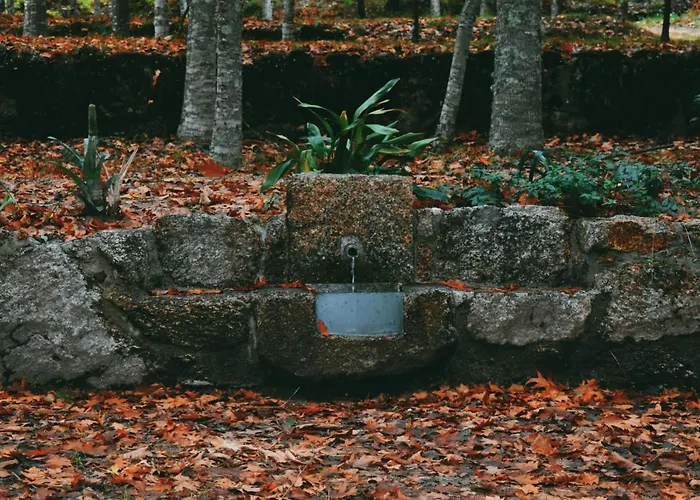 Quinta Fontes - Rustico Local E