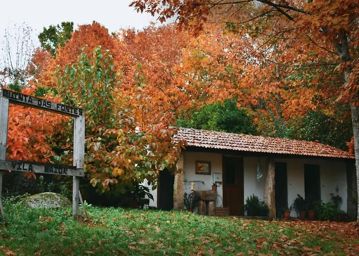 Quinta Fontes - Rustico Local E São Pedro do Sul