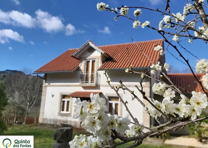 Quinta Fontes - Rustico Local E Casa vacanze *