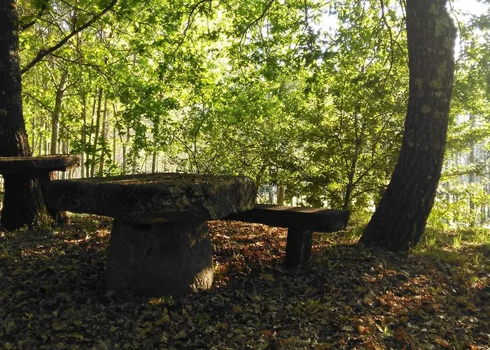 Quinta Fontes - Rustico Local E *