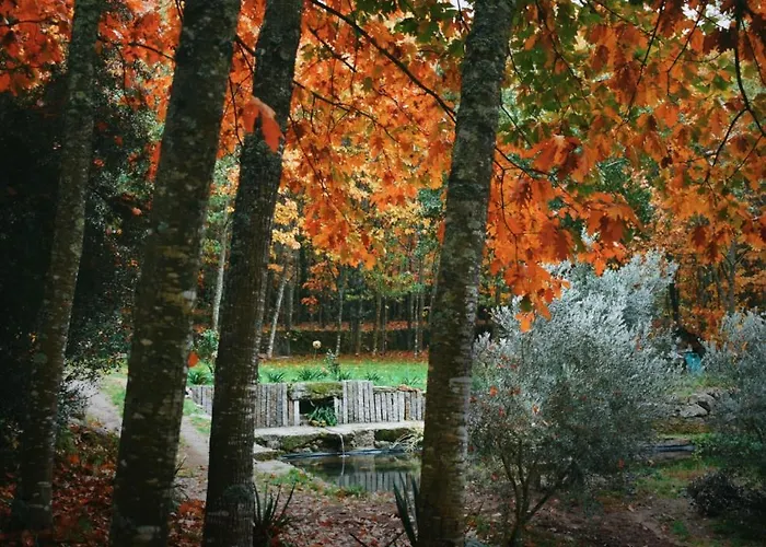 Quinta Fontes - Rustico Local E *