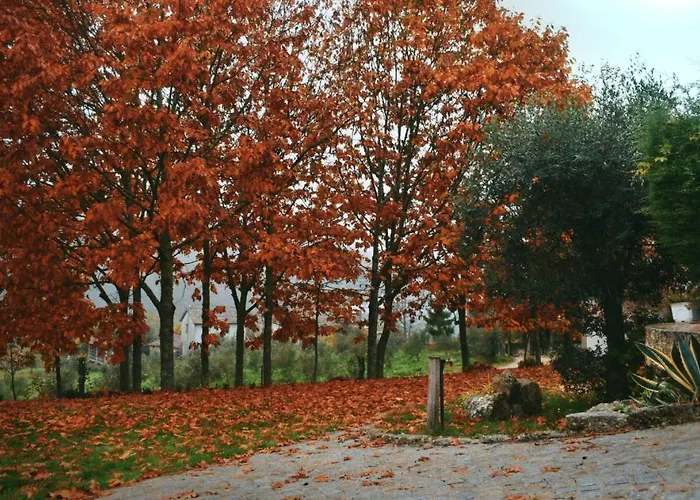 Casa vacanze Quinta Fontes - Rustico Local E São Pedro do Sul