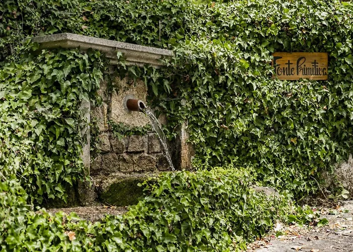 Quinta Fontes - Rustico Local E