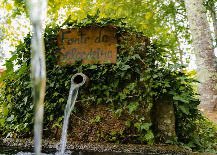 Casa vacanze Quinta Fontes - Rustico Local E São Pedro do Sul