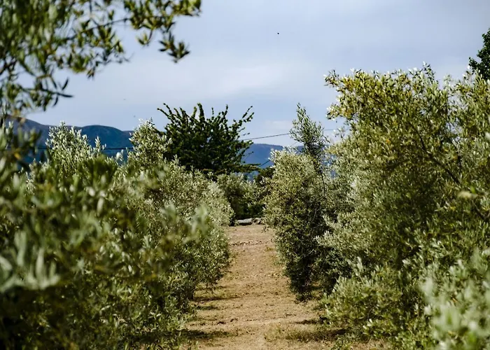 Quinta Fontes - Rustico Local E Casa vacanze *