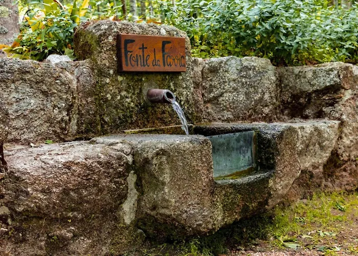 Quinta Fontes - Rustico Local E Casa vacanze